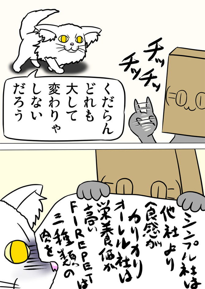 それぞれの餌の違いについて紙に書いてメインクーン猫に見せる灰色猫