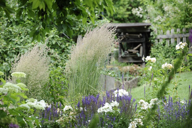 Gekonnte Stauden-und Gräserkombinationen für Ihren Garten