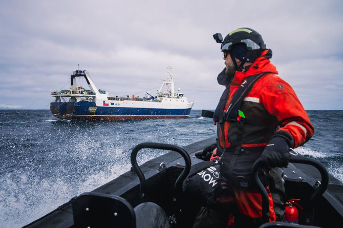 Sea Shepherd crew use the small boat to get a closer look at one of the krill fishing vessels. Photo Youenn Kerda