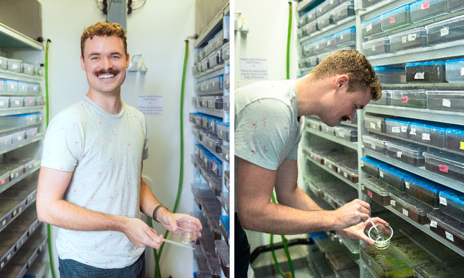 Philip Oel's research is focused on specific cell types present on Platynereis - the photoreceptors. By understanding their functions in this worm, the scientist can infer how new cell types form in organisms. Credit: Kinga Lubowiecka/EMBL