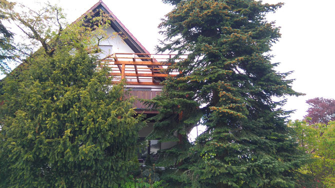 Überdachung auf bestehenden Balkon in Höfen.