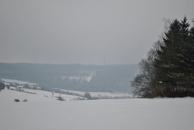 Blick zum Braunenberg