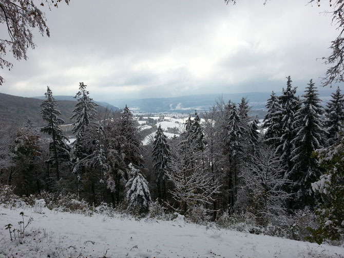 Braunenberg