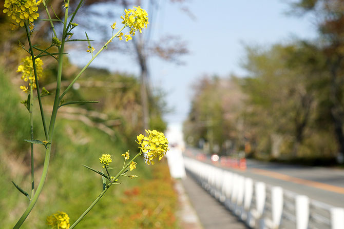 福島,原発