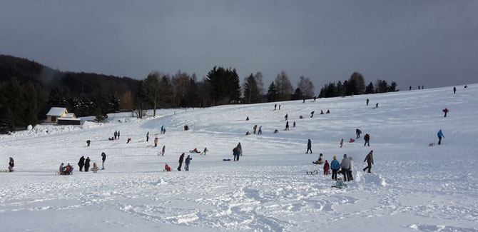 Rodeln im Erzgebirge