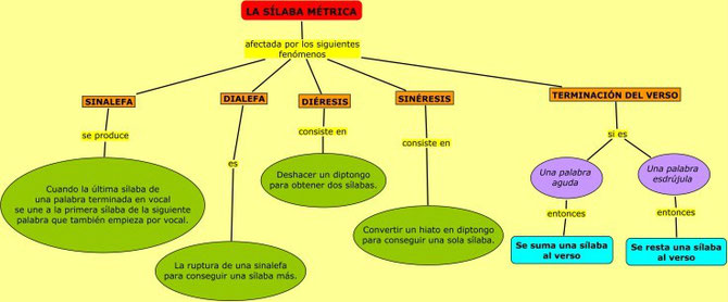 La sílaba métrica. Sinalefa, dialefa, diéresis y sinéresis.