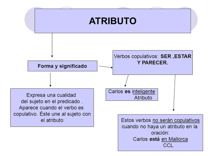 Mapa conceptual del atributo