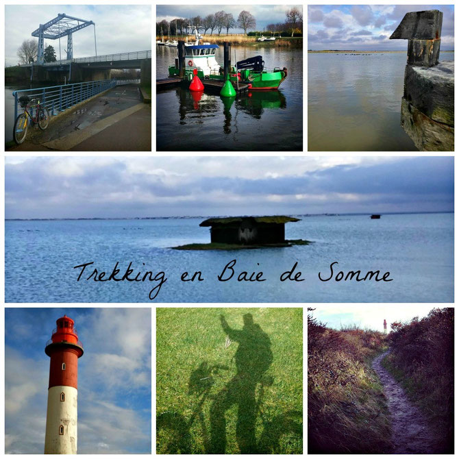 Guide Baie de Somme observation phoques traversée de la Baie activité aventure animaux à faire à voir à visiter à pied