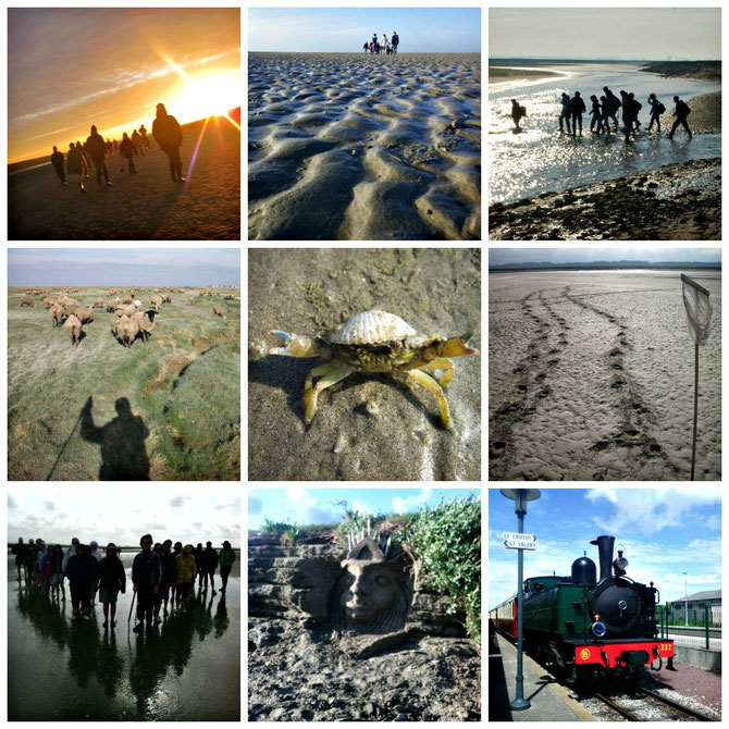 traversée de la baie de Somme avec maxim votre guide en Baie de Somme