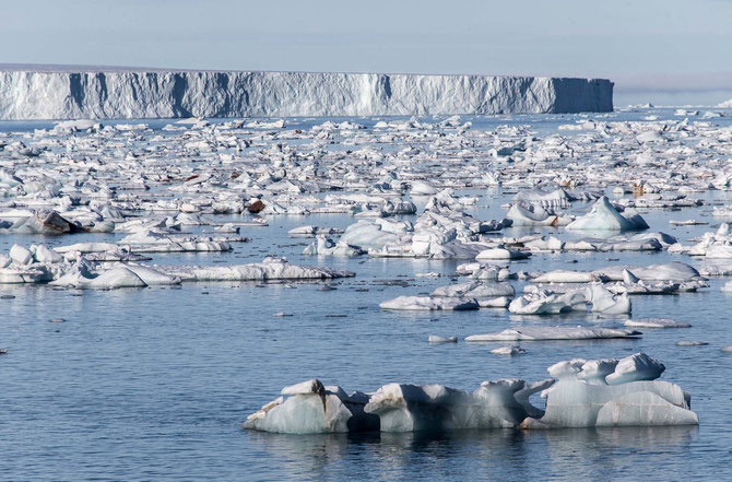 Ice floating on water