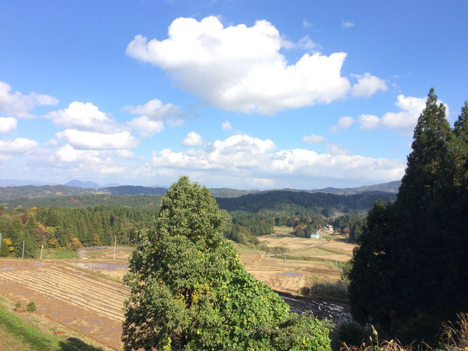 清里区、秋の棚田の風景。わた菓子のような雲が、手に届きそうです