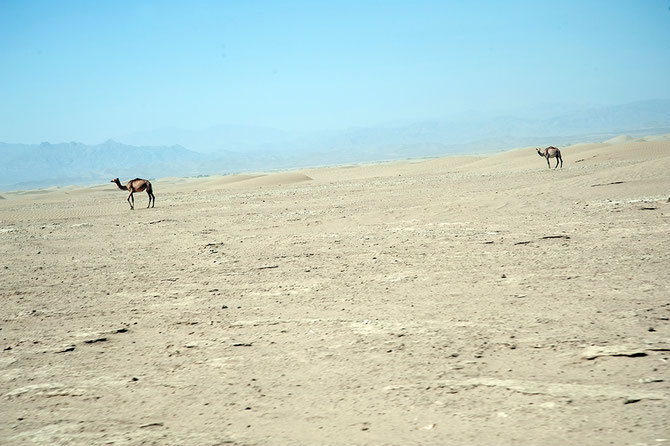 Deserto etiopico