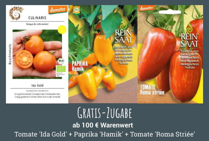 Gratis-Zugabe ab 100 € Warenwert: Tomate 'Ida Gold' + Paprika 'Hamik' + Tomate Roma Striée'
