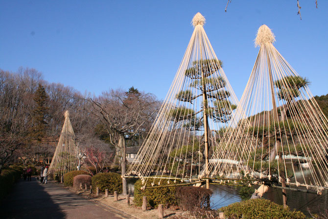 from my album typical winter scenery