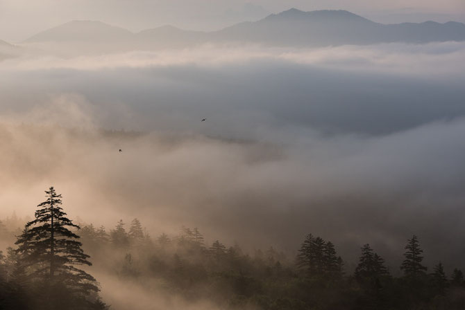 2015年7月28日