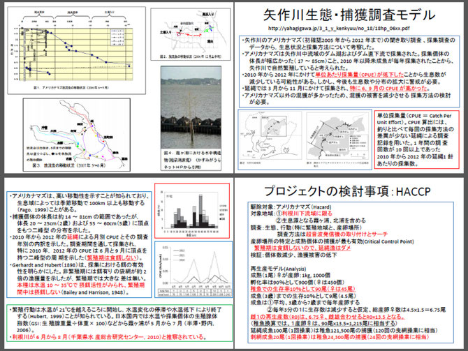 利根川アメリカナマズ Animalcrisismanagement ページ