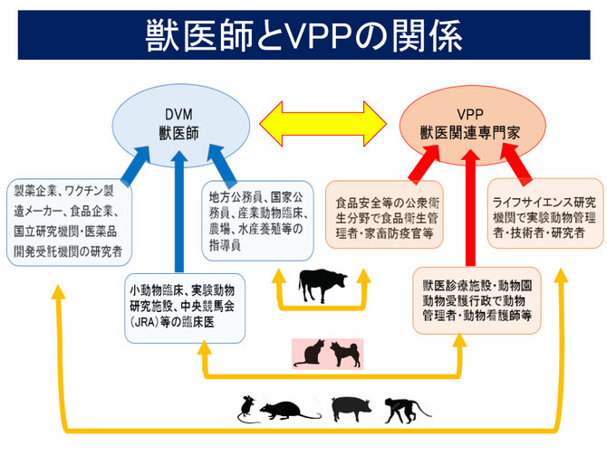 新設獣医学部説明 - animalcrisismanagement ページ! 新設獣医学部説明 - animalcrisismanagement ページ!