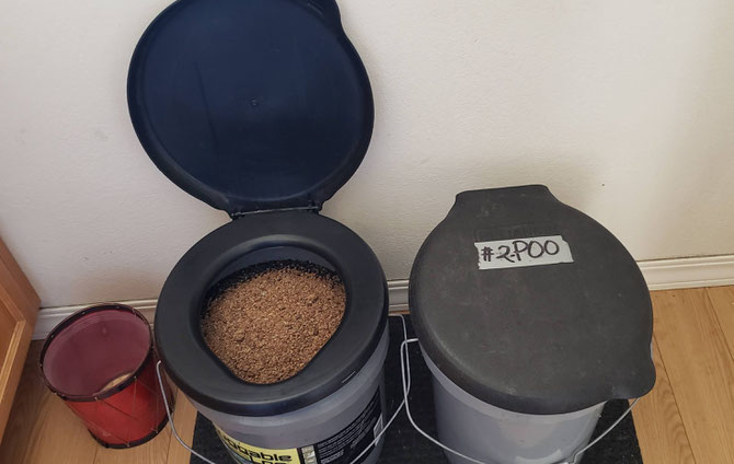 https://biocharprepper.substack.com/p/biochar-sanitation-picking-up-after