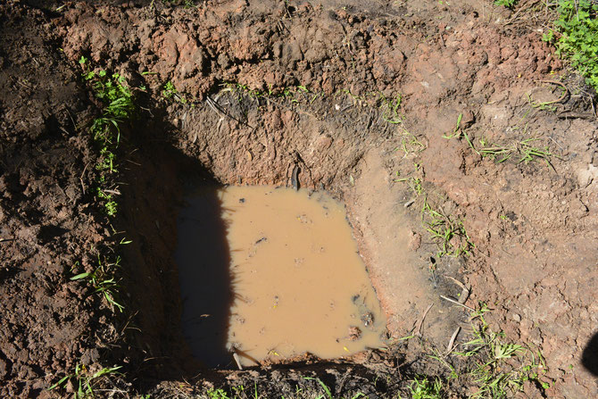  The red clay at the base of the Zai pits will increase the residence time of water absorption for the medium milled biochar aquifers