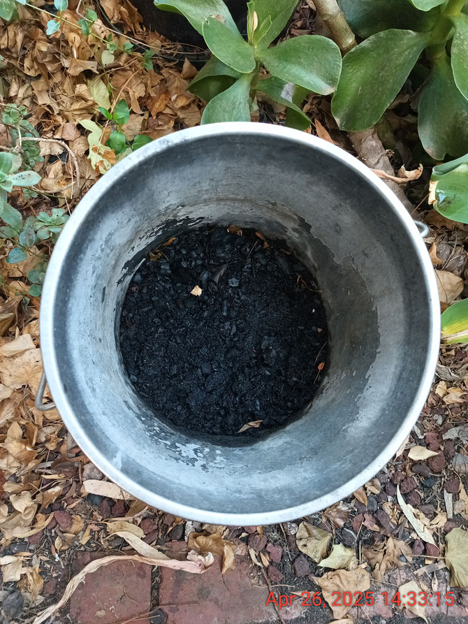 Alternatively, if you're a bloke, there's always the outdoor 20L stainless steel biochar piss bucket for Number 1 (no bokashi needed)
