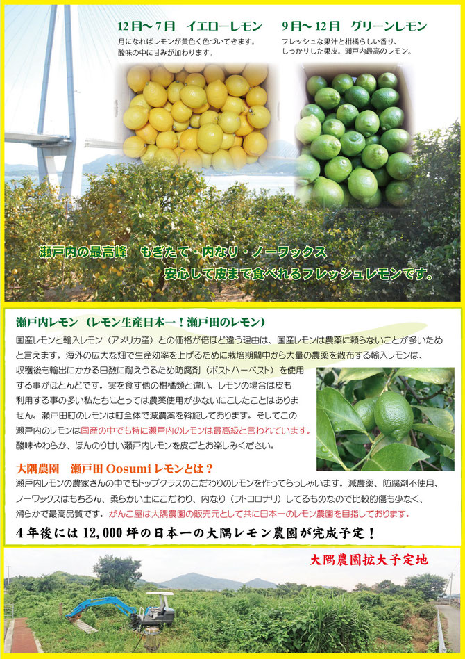 国産瀬戸田レモン15kg前後Kayonpo様