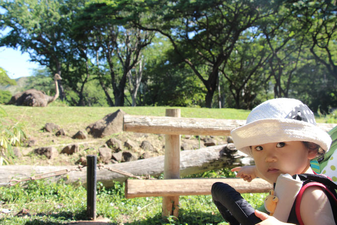 ハワイ　動物園　Honolulu Zoo