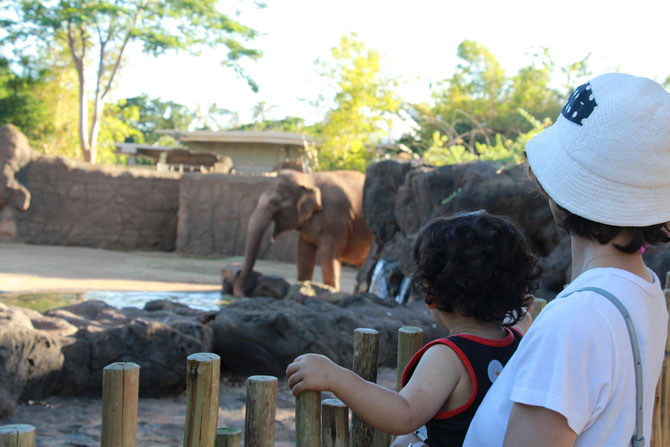 ホノルル動物園　ハワイ　Honolulu Zoo