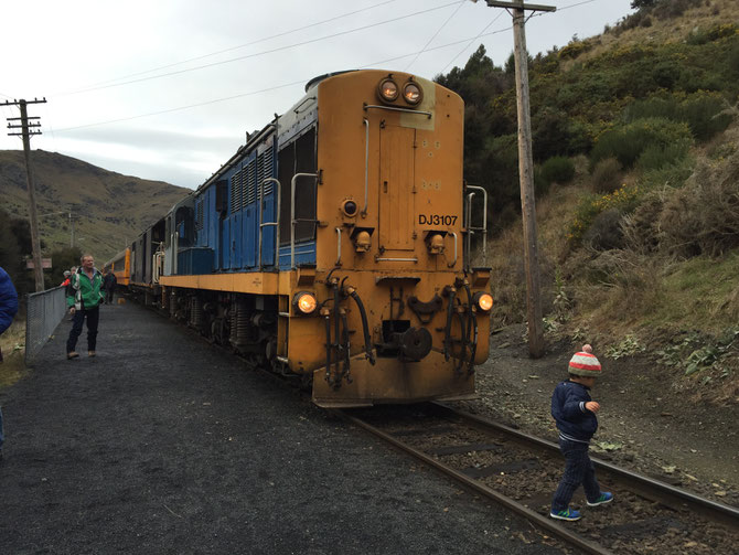 ニュージーランド　ダニーデン　タイエリ峡谷鉄道