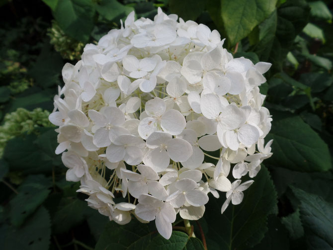 Ein Abend für die Seele