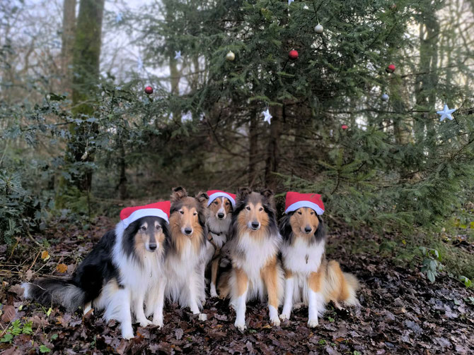 Einen schönen 3. Advent!