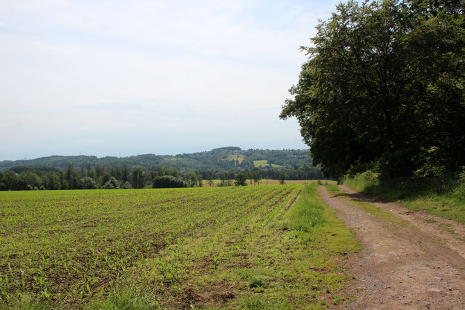 Auenlandweg - der Start vom Wanderparkplatz aus