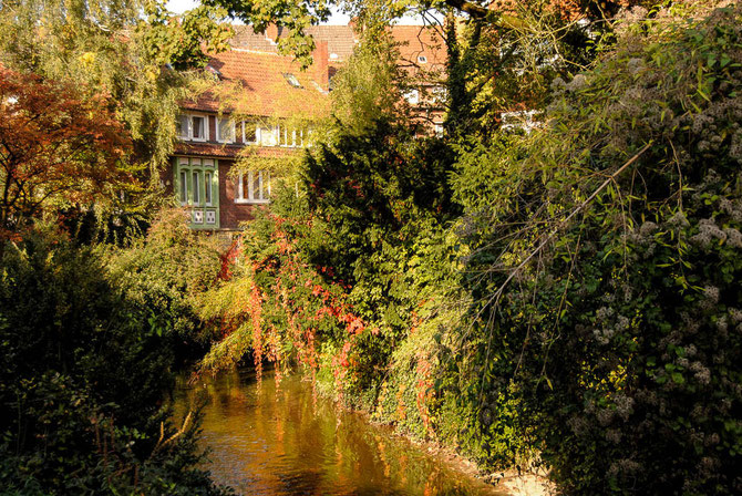 Renaturierung