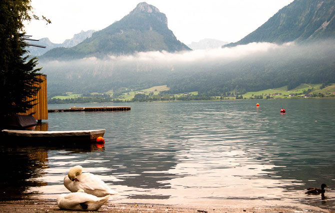 Wolfgangsee