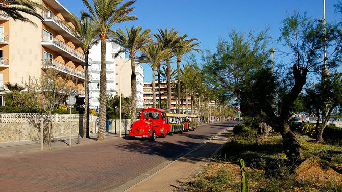 An der Platja de s'Arenal.