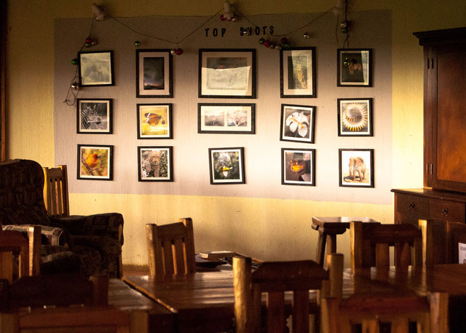 Hier möchte ich mit einem meiner eingereichten Fotos hin: Wall of the "TOP SHOTS"!