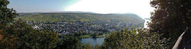 Blick auf Neumagen-Dhron