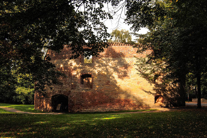 Zwinger