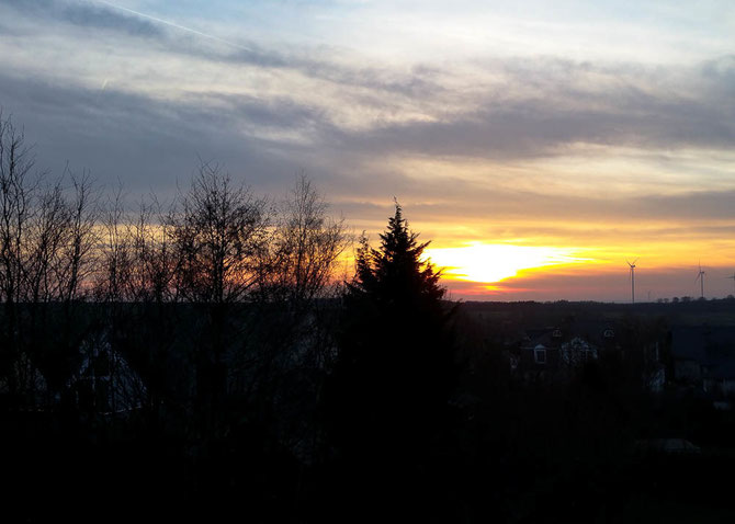 Hunsrück. Heimat.