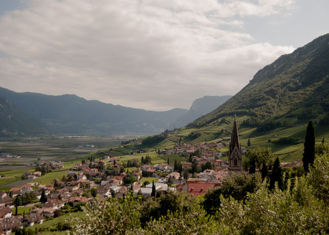 Tramin mit dem Turm der Pfarrkirche