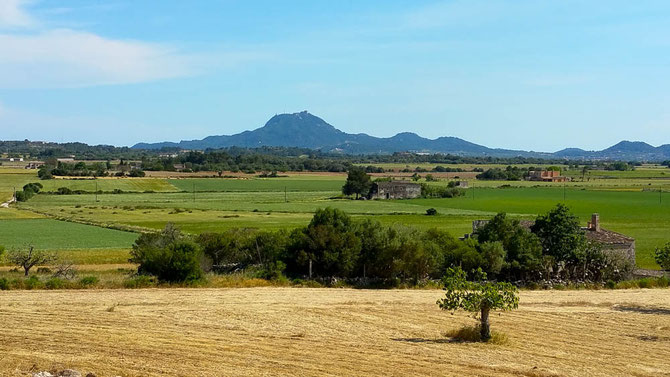 Blick auf den San Salvador.