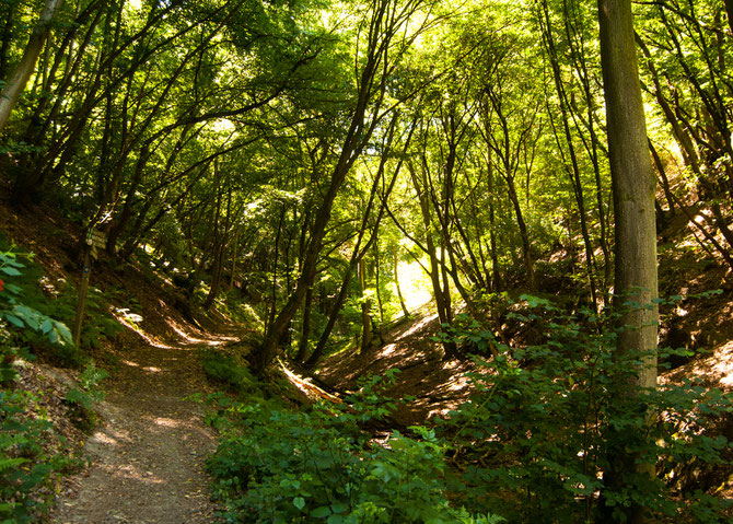 Den Weilerbach entlang.