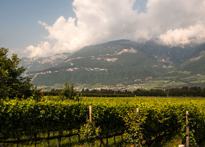 Blick von Auer nach Tramin