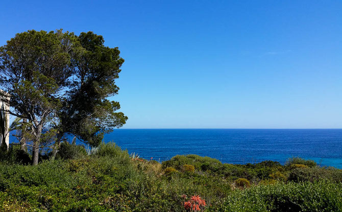 Abendspaziergang zur Cala Domingos.