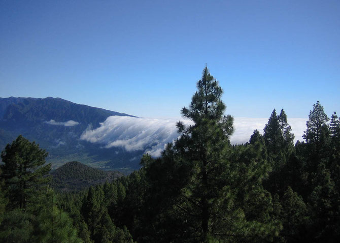 Nordost-Passatwolken über der Cumbre Nueva