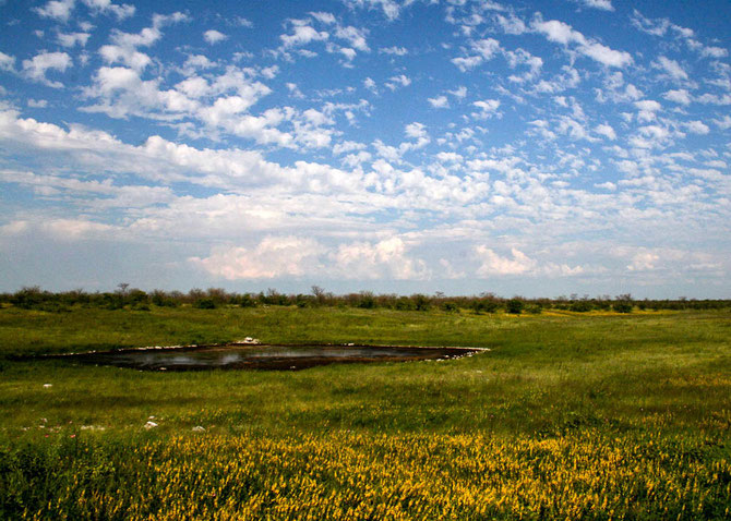 Etosha Nationalpark