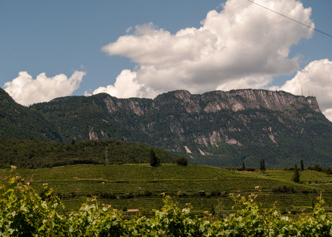 Blick zur Mendelpass-Straße