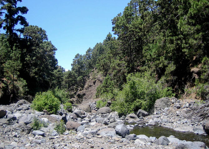 In der Playa de Taburiente