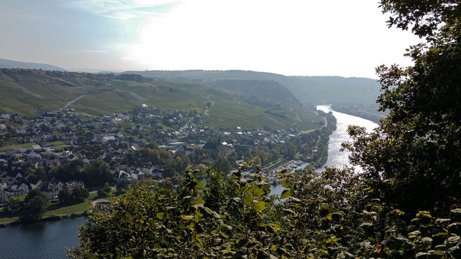 Neumagen-Dhron