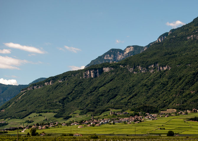 Tramin am Hangfuß des Mendelkammes