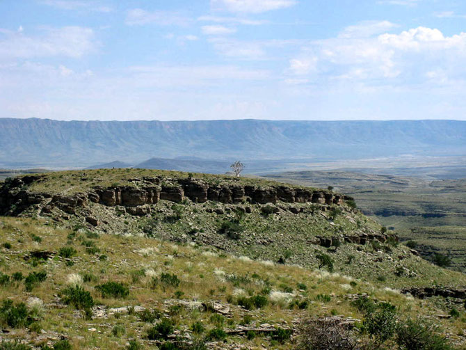 Wanderung über das steinreiche Gelände der Zebra River Lodge. Ein einsamer Köcherbaum ist das Ziel
